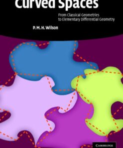 Curved Spaces: From Classical Geometries to Elementary Differential Geometry eBook