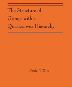 The Structure of Groups with a Quasiconvex Hierarchy: (AMS-209) eBook