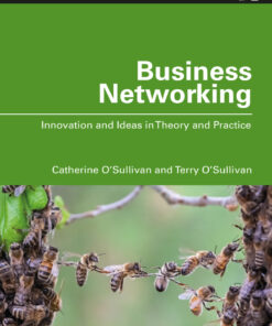 Business Networking: Innovation and Ideas in Theory and Practice eBook