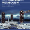 The Urbanism of Metabolism: Visions, Scenarios and Models for the Mutant City of Tomorrow eBook