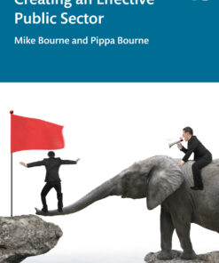 Creating an Effective Public Sector eBook