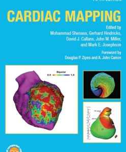 Cardiac Mapping eBook