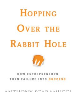 Hopping over the Rabbit Hole: How Entrepreneurs Turn Failure into Success eBook