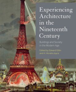 Experiencing Architecture in the Nineteenth Century: Buildings and Society in the Modern Age eBook