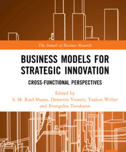 Business Models for Strategic Innovation: Cross-Functional Perspectives eBook