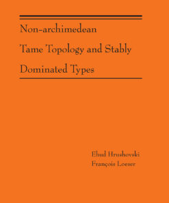 Non-Archimedean Tame Topology and Stably Dominated Types (AM-192) eBook