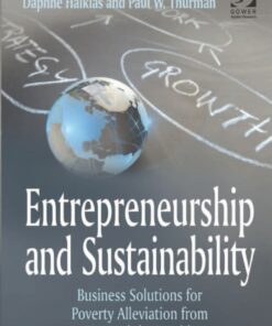 Entrepreneurship and Sustainability: Business Solutions for Poverty Alleviation from Around the World eBook