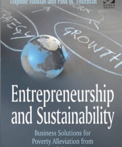 Entrepreneurship and Sustainability: Business Solutions for Poverty Alleviation from Around the World eBook