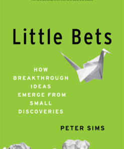 Little Bets: How Breakthrough Ideas Emerge from Small Discoveries eBook