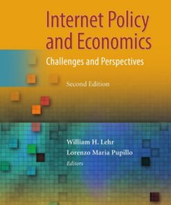 Internet Policy and Economics: Challenges and Perspectives eBook