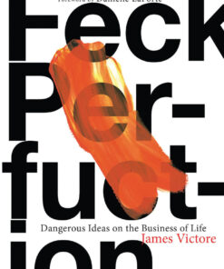 Feck Perfuction: Dangerous Ideas on the Business of Life eBook