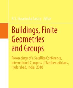 Buildings, Finite Geometries and Groups: Proceedings of a Satellite Conference, International Congress of Mathematicians, Hyderabad, India, 2010 eBook