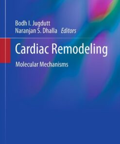 Cardiac Remodeling: Molecular Mechanisms eBook