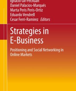 Strategies in E-Business: Positioning and Social Networking in Online Markets eBook