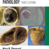 Practical Cardiovascular Pathology eBook