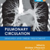 Pulmonary Circulation: Diseases and Their Treatment, Fourth Edition eBook