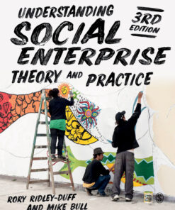 Understanding Social Enterprise: Theory and Practice eBook