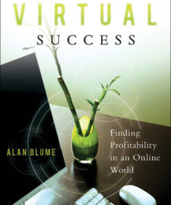 Your Virtual Success: Finding Profitability in an Online World eBook