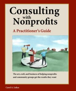 Consulting With Nonprofits: A Practitioner's Guide eBook