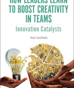 How Leaders Learn To Boost Creativity In Teams: Innovation Catalysts Innovation Catalysts eBook