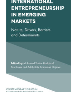 International Entrepreneurship in Emerging Markets: Nature, Drivers, Barriers and Determinants eBook
