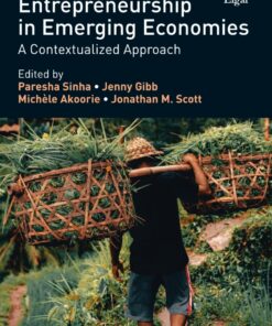 Research Handbook on Entrepreneurship in Emerging Economies eBook