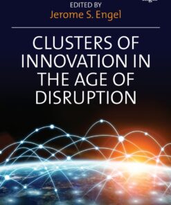 Clusters of Innovation in the Age of Disruption eBook