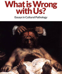 What is Wrong with Us? eBook