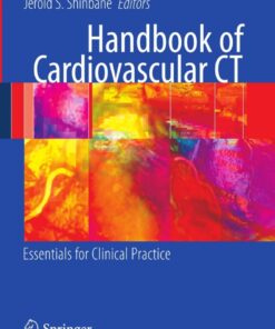 Handbook of Cardiovascular CT: Essentials for Clinical Practice eBook