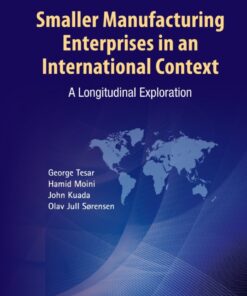 Smaller Manufacturing Enterprises in an International Context:A Longitudinal Exploration eBook