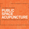 Public Space Acupuncture eBook