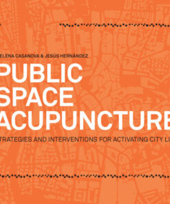 Public Space Acupuncture eBook