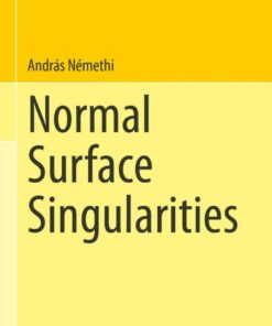 Normal Surface Singularities eBook