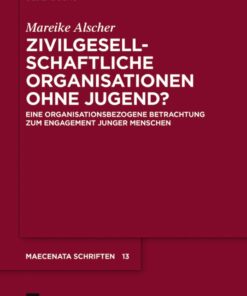 Zivilgesellschaftliche Organisationen ohne Jugend?: Eine organisationsbezogene Betrachtung zum Engagement junger Menschen eBook