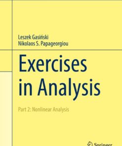 Exercises in Analysis: Part 2: Nonlinear Analysis eBook