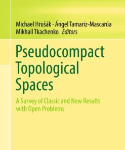 Pseudocompact Topological Spaces: A Survey of Classic and New Results with Open Problems eBook