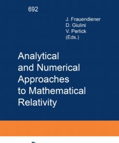 Analytical and Numerical Approaches to Mathematical Relativity eBook