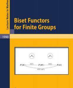 Biset Functors for Finite Groups eBook