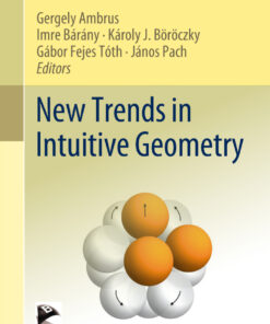 New Trends in Intuitive Geometry eBook