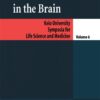 Ischemic Blood Flow in the Brain eBook