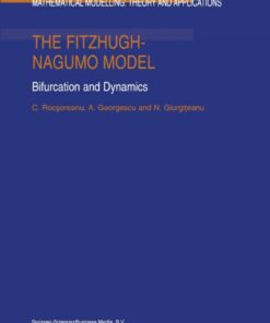 The FitzHugh-Nagumo Model: Bifurcation and Dynamics eBook