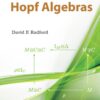 Hopf Algebras eBook