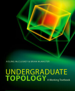 Undergraduate Topology: A Working Textbook eBook