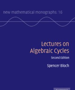 Lectures on Algebraic Cycles eBook