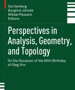 Perspectives in Analysis, Geometry, and Topology: On the Occasion of the 60th Birthday of Oleg Viro eBook