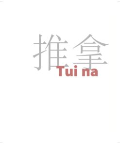 Tui na: A Manual of Chinese Massage Therapy eBook