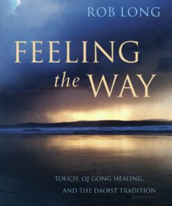 Feeling the Way: Touch, Qi Gong healing, and the Daoist tradition eBook