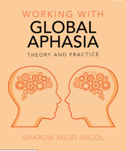 Working with Global Aphasia: Theory and Practice eBook