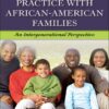 Social Work Practice with African American Families: An Intergenerational Perspective eBook
