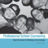 Professional School Counseling: Best Practices for Working in the Schools eBook